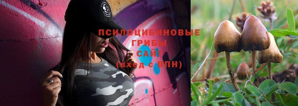 сатива Абинск