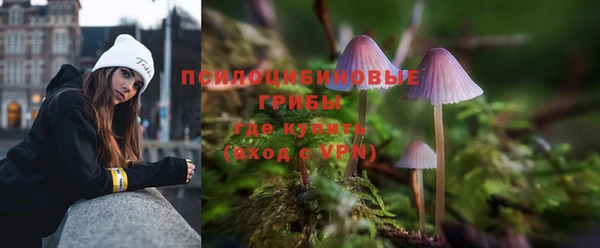 сатива Абинск