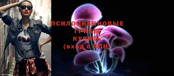сатива Абинск