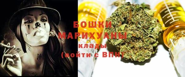 сатива Абинск