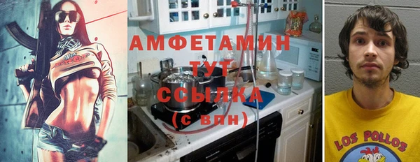 сатива Абинск