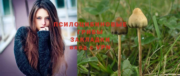 каннабис Абаза