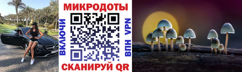 Псилоцибиновые грибы MAGIC MUSHROOMS наркотики Тутаев