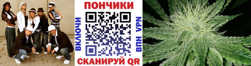 закладка Тутаев Каннабис ГИДРОПОН